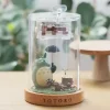 Boites À Musiques|Maison Ghibli Boîte à Musique Marionnette Totoro - Mon Voisin Tototro